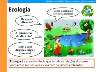 Ecologia
Ecologia: introdução, fluxo de energia e ciclo da matéria
De que se
alimenta?
A quem serve
de alimento?
Com quem
disputa abrigo e
alimento?
Como o ambiente
afeta esta espécie?
Ecologia é a área da ciência que estuda as relações dos seres
vivos entre si e dos seres vivos com os fatores ambientais.
 