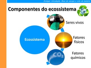 Componentes do ecossistema
Ecologia: introdução, fluxo de energia e ciclo da matéria
Ecossistema
Seres vivos
Fatores
físicos
Fatores
químicos
 