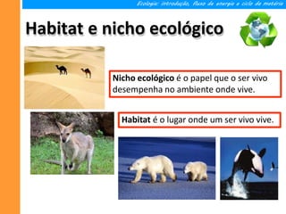Habitat e nicho ecológico
Ecologia: introdução, fluxo de energia e ciclo da matéria
Habitat é o lugar onde um ser vivo vive.
Nicho ecológico é o papel que o ser vivo
desempenha no ambiente onde vive.
 