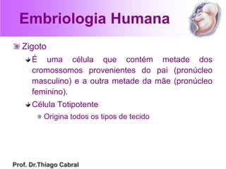 Embriologia Humana
Zigoto
É uma célula que contém metade dos
cromossomos provenientes do pai (pronúcleo
masculino) e a outra metade da mãe (pronúcleo
feminino).
Célula Totipotente
Origina todos os tipos de tecido
Prof. Dr.Thiago Cabral
 