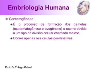 Embriologia Humana
Gametogênese
É o processo de formação dos gametas
(espermatogênese e ovogênese) e ocorre devido
a um tipo de divisão celular chamado meiose.
Ocorre apenas nas células germinativas
Prof. Dr.Thiago Cabral
 