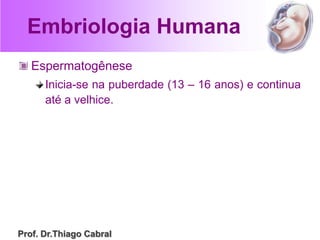 Embriologia Humana
Espermatogênese
Inicia-se na puberdade (13 – 16 anos) e continua
até a velhice.
Prof. Dr.Thiago Cabral
 