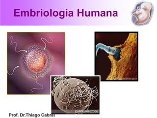 Embriologia Humana
Prof. Dr.Thiago Cabral
 