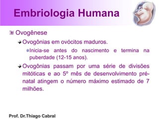 Embriologia Humana
Ovogênese
Ovogônias em ovócitos maduros.
Inicia-se antes do nascimento e termina na
puberdade (12-15 anos).
Ovogônias passam por uma série de divisões
mitóticas e ao 5º mês de desenvolvimento pré-
natal atingem o número máximo estimado de 7
milhões.
Prof. Dr.Thiago Cabral
 