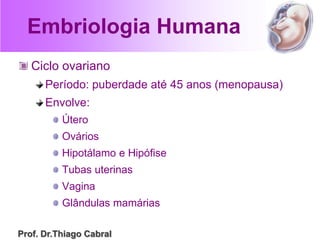 Embriologia Humana
Ciclo ovariano
Período: puberdade até 45 anos (menopausa)
Envolve:
Útero
Ovários
Hipotálamo e Hipófise
Tubas uterinas
Vagina
Glândulas mamárias
Prof. Dr.Thiago Cabral
 