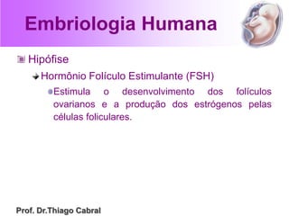 Embriologia Humana
Hipófise
Hormônio Folículo Estimulante (FSH)
Estimula o desenvolvimento dos folículos
ovarianos e a produção dos estrógenos pelas
células foliculares.
Prof. Dr.Thiago Cabral
 
