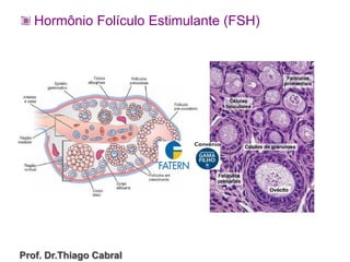 Hormônio Folículo Estimulante (FSH)
Prof. Dr.Thiago Cabral
 