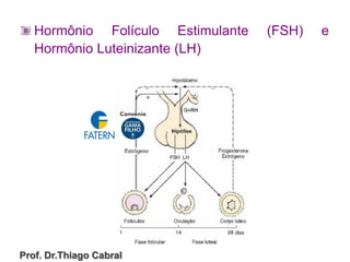 Hormônio Folículo Estimulante (FSH) e
Hormônio Luteinizante (LH)
Prof. Dr.Thiago Cabral
 