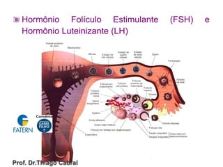 Hormônio Folículo Estimulante (FSH) e
Hormônio Luteinizante (LH)
Prof. Dr.Thiago Cabral
 