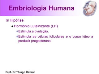 Embriologia Humana
Hipófise
Hormônio Luteinizante (LH)
Estimula a ovulação.
Estimula as células foliculares e o corpo lúteo a
produzir progesterona.
Prof. Dr.Thiago Cabral
 