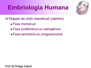 Embriologia Humana
Etapas do ciclo menstrual (uterino)
Fase menstrual
Fase proliferativa ou estrogênica
Fase secretória ou progestacional
Prof. Dr.Thiago Cabral
 