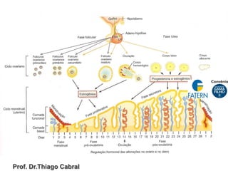 Prof. Dr.Thiago Cabral
 