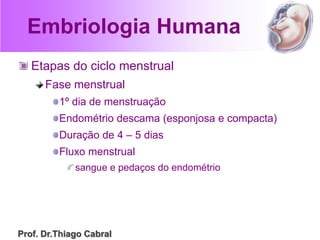 Embriologia Humana
Etapas do ciclo menstrual
Fase menstrual
1º dia de menstruação
Endométrio descama (esponjosa e compacta)
Duração de 4 – 5 dias
Fluxo menstrual
sangue e pedaços do endométrio
Prof. Dr.Thiago Cabral
 