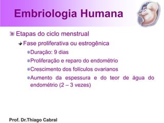 Embriologia Humana
Etapas do ciclo menstrual
Fase proliferativa ou estrogênica
Duração: 9 dias
Proliferação e reparo do endométrio
Crescimento dos folículos ovarianos
Aumento da espessura e do teor de água do
endométrio (2 – 3 vezes)
Prof. Dr.Thiago Cabral
 