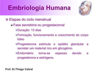 Embriologia Humana
Etapas do ciclo menstrual
Fase secretória ou progestacional
Duração: 13 dias
Formação, funcionamento e crescimento do corpo
lúteo
Progesterona estimula o epitélio glandular a
secretar um material rico em glicogênio.
Endométrio torna-se espesso devido a
progesterona e estrógeno.
Prof. Dr.Thiago Cabral
 