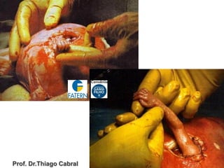 Prof. Dr.Thiago Cabral
 