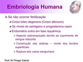 Embriologia Humana
Se não ocorrer fertilização
Corpo lúteo degenera (Corpo albicans)
Os níveis de estrógeno e progesterona caem
Endométrio entra em fase isquêmica
Aspecto esbranquiçado devido ao suprimento de
sangue reduzido
Constricção das artérias – morte dos tecidos
superficiais
Ruptura dos vasos sanguíneos
Prof. Dr.Thiago Cabral
 