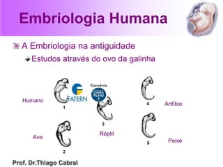 Embriologia Humana
A Embriologia na antiguidade
Estudos através do ovo da galinha
Humano
Ave
Réptil
Anfíbio
Peixe
Prof. Dr.Thiago Cabral
 