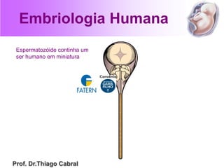 Embriologia Humana
Espermatozóide continha um
ser humano em miniatura
Prof. Dr.Thiago Cabral
 