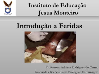 Instituto de Educação
Jesus Monteiro

Introdução a Feridas

Professora: Adriana Rodrigues do Carmo
Graduada e licenciada em Biologia e Enfermagem

 