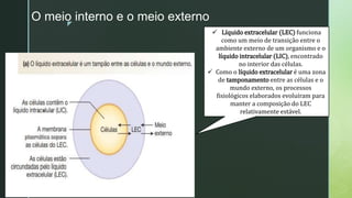 z
O meio interno e o meio externo
 Líquido extracelular (LEC) funciona
como um meio de transição entre o
ambiente externo de um organismo e o
líquido intracelular (LIC), encontrado
no interior das células.
 Como o líquido extracelular é uma zona
de tamponamento entre as células e o
mundo externo, os processos
fisiológicos elaborados evoluíram para
manter a composição do LEC
relativamente estável.
 