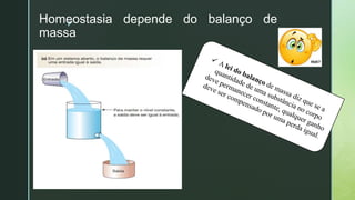 z
Homeostasia depende do balanço de
massa
 