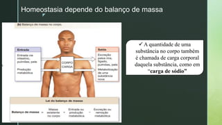 z
Homeostasia depende do balanço de massa
 A quantidade de uma
substância no corpo também
é chamada de carga corporal
daquela substância, como em
“carga de sódio”
 