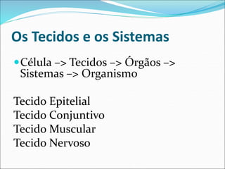 Os Tecidos e os Sistemas
Célula –> Tecidos –> Órgãos –>
Sistemas –> Organismo
Tecido Epitelial
Tecido Conjuntivo
Tecido Muscular
Tecido Nervoso
 