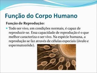 Função do Corpo Humano
Função de Reprodução:
 Todo ser vivo, em condições normais, é capaz de
reproduzir-se. Essa capacidade de reprodução é o que
melhor caracteriza o ser vivo. Na espécie humana, a
reprodução se faz através de células especiais (óvulo e
espermatozóide).
 