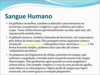 Sangue Humano
 Os glóbulos vermelhos, também conhecidos como hemácias ou
eritrócitos, transportam o oxigênio e o gás carbônico por todo o
corpo. Essas células duram aproximadamente 120 dias, após isso, são
repostas pela medula óssea.
 O glóbulos brancos, também chamados de leucócitos, são responsáveis
pela defesa de nosso corpo. Eles protegem nosso organismo contra a
invasão de microorganismos indesejados (vírus, bactérias e fungos). De
forma bastante simples, podemos dizer que eles são nossos
"soldadinhos de defesa".
 As plaquetas são fragmentos de células, presentes no sangue, que
realizam a coagulação, evitando assim sua perda excessiva de sangue
(hemorragia). Elas geralmente agem quando os vasos sangüíneos
sofrem danos. Um exemplo simples é o caso de uma picada de agulha,
onde observa-se uma pequena e ligeira perda de sangue que logo é
estancada, isto ocorre graças ao tampão plaquetário.
 
