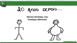 Mesmo Genótipo, mas
Fenótipos diferentes
 