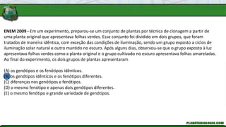 ENEM 2009 - Em um experimento, preparou-se um conjunto de plantas por técnica de clonagem a partir de
uma planta original que apresentava folhas verdes. Esse conjunto foi dividido em dois grupos, que foram
tratados de maneira idêntica, com exceção das condições de iluminação, sendo um grupo exposto a ciclos de
iluminação solar natural e outro mantido no escuro. Após alguns dias, observou-se que o grupo exposto à luz
apresentava folhas verdes como a planta original e o grupo cultivado no escuro apresentava folhas amareladas.
Ao final do experimento, os dois grupos de plantas apresentaram
(A) os genótipos e os fenótipos idênticos.
(B) os genótipos idênticos e os fenótipos diferentes.
(C) diferenças nos genótipos e fenótipos.
(D) o mesmo fenótipo e apenas dois genótipos diferentes.
(E) o mesmo fenótipo e grande variedade de genótipos.
 
