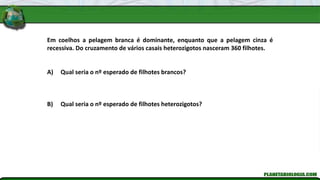 Em coelhos a pelagem branca é dominante, enquanto que a pelagem cinza é
recessiva. Do cruzamento de vários casais heterozigotos nasceram 360 filhotes.
A) Qual seria o nº esperado de filhotes brancos?
B) Qual seria o nº esperado de filhotes heterozigotos?
 