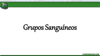 Grupos Sanguíneos
 