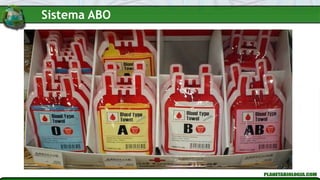 Sistema ABO
 