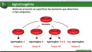 Hemácia
Aglutinogênio A
Sangue A
Aglutinogênio B
Sangue B
Aglutinogênio A e B
Sangue AB
Sem Aglutinogênio
Sangue O
Molécula presente na superfície das hemácias que determina
o tipo sanguíneo.
Aglutinogênio
 