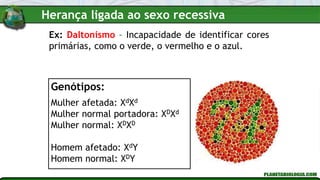 Ex: Daltonismo – Incapacidade de identificar cores
primárias, como o verde, o vermelho e o azul.
Genótipos:
Mulher afetada: XdXd
Mulher normal portadora: XDXd
Mulher normal: XDXD
Homem afetado: XdY
Homem normal: XDY
Herança ligada ao sexo recessiva
 