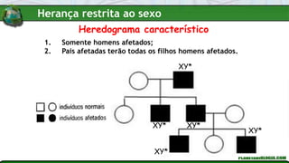 Heredograma característico
1. Somente homens afetados;
2. Pais afetadas terão todas os filhos homens afetados.
XY*
XY* XY*
XY*
XY*
Herança restrita ao sexo
 
