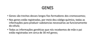 GENES
• Genes são trechos desses longos fios formadores dos cromossomos;
• Nos genes estão registradas, por meio deu código químico, todas as
informações para produzir substancias necessárias ao funcionamento
da célula;
• Todas as informações genéticas que nós recebemos de mãe e pai
estão registradas em cerca de 30 mil genes;
 