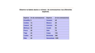 Introdução a genética.pptx