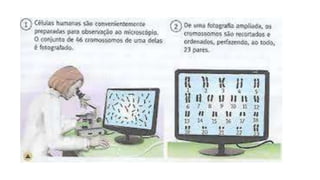 Introdução a genética.pptx