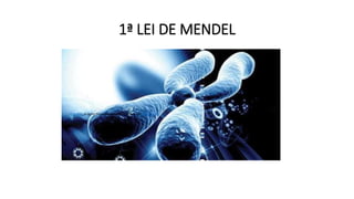 1ª LEI DE MENDEL
Esta Foto de Autor Desconhecido está licenciado em CC BY-SA-NC
 