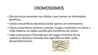 CROMOSSOMOS
• São estruturas presentes nas células e que contem as informações
genéticas;
• Células procarióticas (bactérias) existe apenas um cromossomo;
• Células eucarióticas (animais e plantas, fungos e protistas), há vários e
estão disperso na região contida pela membrana do núcleo.
• Cada cromossomo é formado por um longo e finíssimo fio da
substancia Quimica chamada pela sigla DNA ou ADN, ácido
desoxirribonucleico..
 