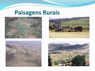 Paisagens Naturais