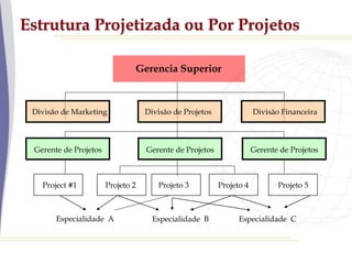 Estrutura Projetizada ou Por Projetos
Gerencia Superior
Gerente de Projetos
Divisão Financeira
Divisão de Marketing Divisão de Projetos
Gerente de Projetos Gerente de Projetos
Project #1 Projeto 2 Projeto 3 Projeto 5
Especialidade A Especialidade B Especialidade C
Projeto 4
 