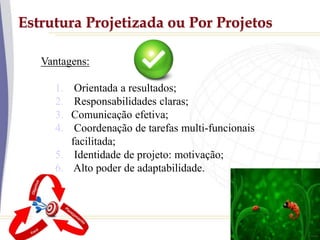 Estrutura Projetizada ou Por Projetos
Vantagens:
1. Orientada a resultados;
2. Responsabilidades claras;
3. Comunicação efetiva;
4. Coordenação de tarefas multi-funcionais
facilitada;
5. Identidade de projeto: motivação;
6. Alto poder de adaptabilidade.
 