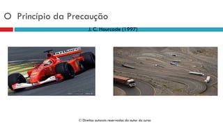 O Princípio da Precaução
J. C. Hourcade (1997)
 Direitos autorais reservados do autor do curso
 