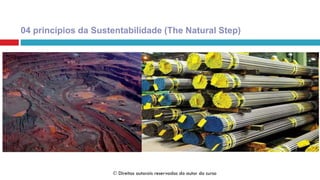 04 princípios da Sustentabilidade (The Natural Step)
1. Na sociedade sustentável, a natureza não está sujeita a
concentrações sistematicamente crescentes de substâncias
extraídas da crosta terrestre;
 Direitos autorais reservados do autor do curso
 