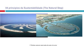 3. Na sociedade sustentável a natureza não está
sujeita a concentrações sistematicamente crescente
por meios físicos.
04 princípios da Sustentabilidade (The Natural Step)
 Direitos autorais reservados do autor do curso
 