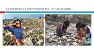 4. Na sociedade sustentável as necessidades humanas
são satisfeitas em todo o mundo.
04 princípios da Sustentabilidade (The Natural Step)
 